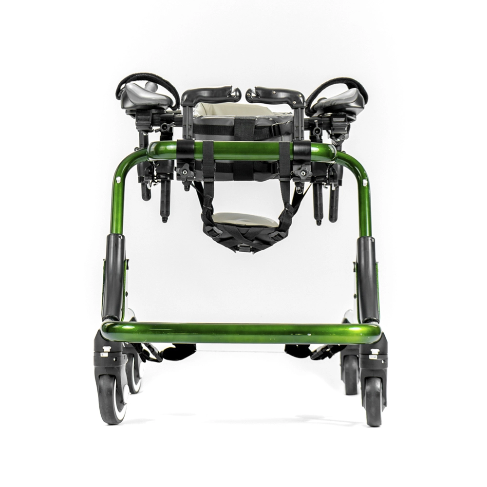 Treinador de Marcha GoGo Smile Wheels - Cor: Verde