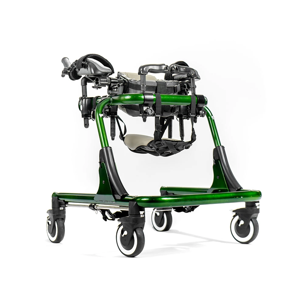 Treinador de Marcha GoGo Smile Wheels - Cor: Verde
